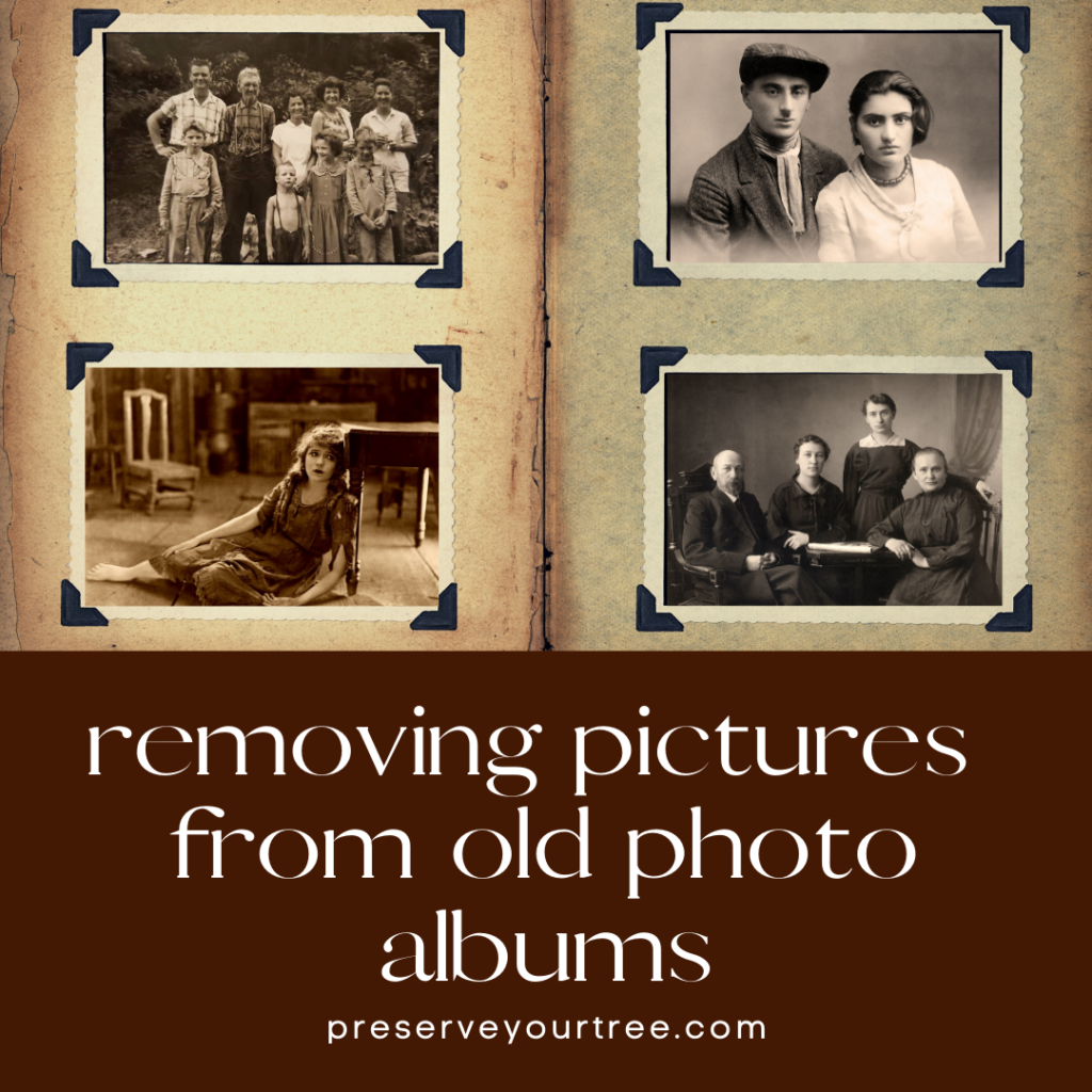 How To Remove Pictures From Those Old Photo Albums Preserve Your Tree